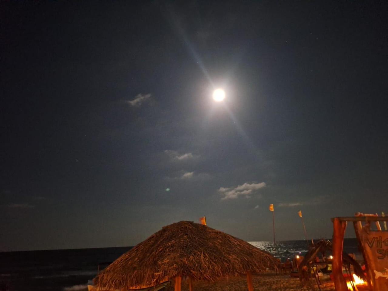 Vitamin Sea Beach Cabana & Hostel 닐라벨리 외부 사진