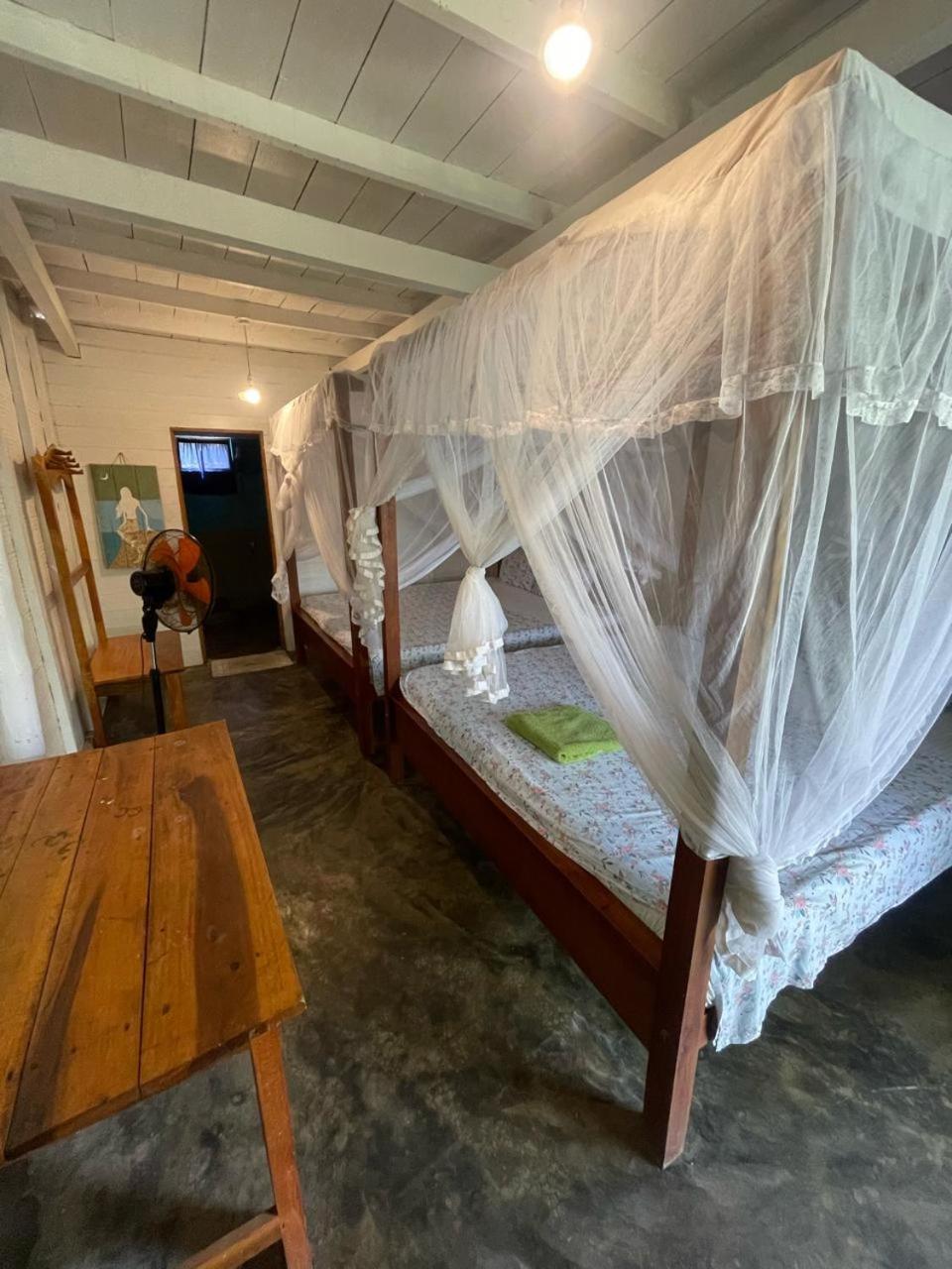 Vitamin Sea Beach Cabana & Hostel 닐라벨리 외부 사진
