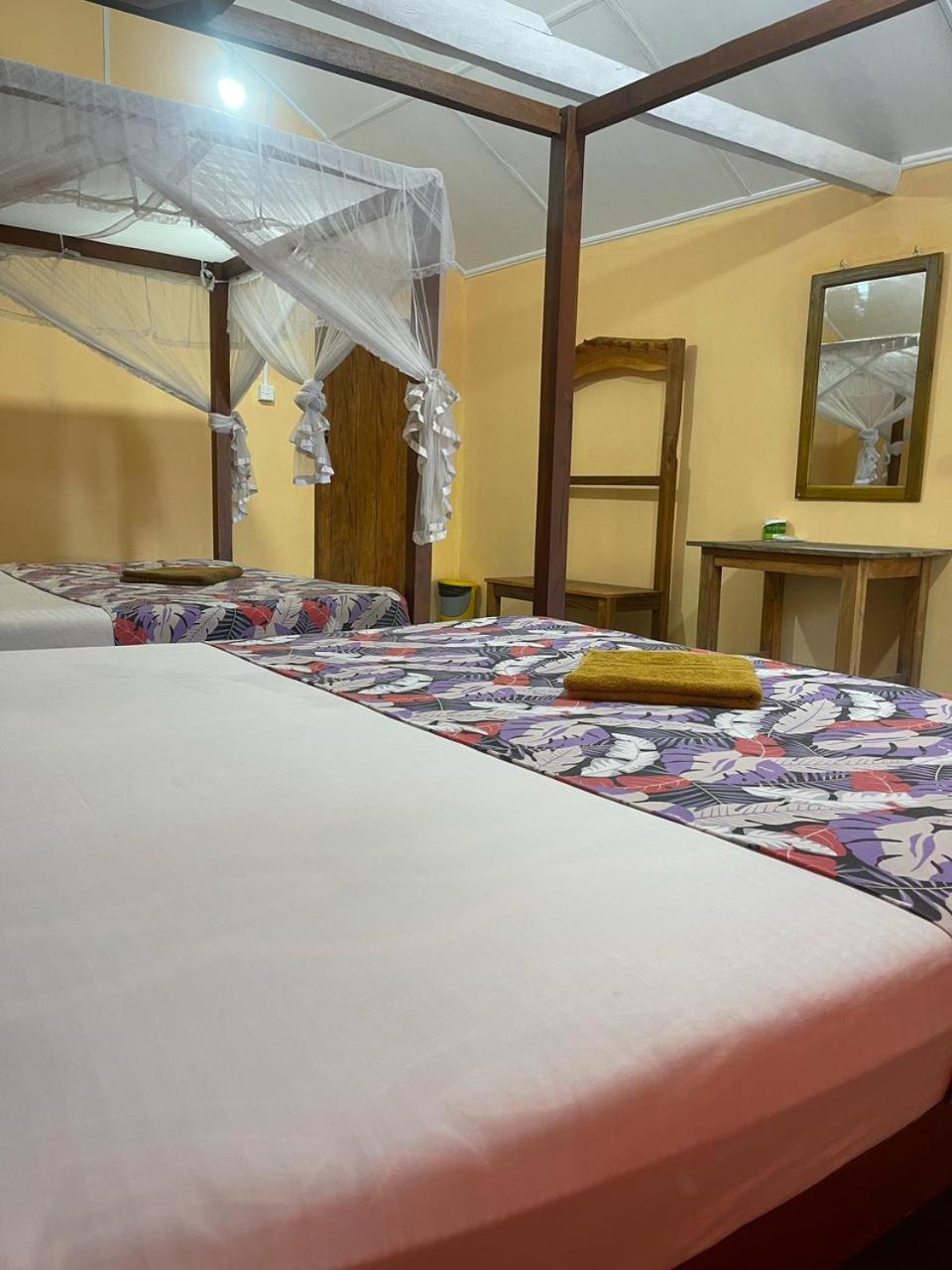 Vitamin Sea Beach Cabana & Hostel 닐라벨리 객실 사진