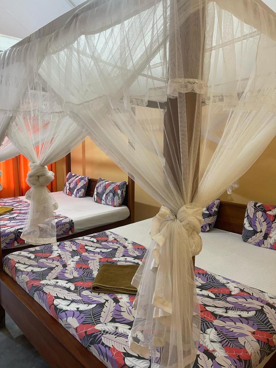Vitamin Sea Beach Cabana & Hostel 닐라벨리 객실 사진